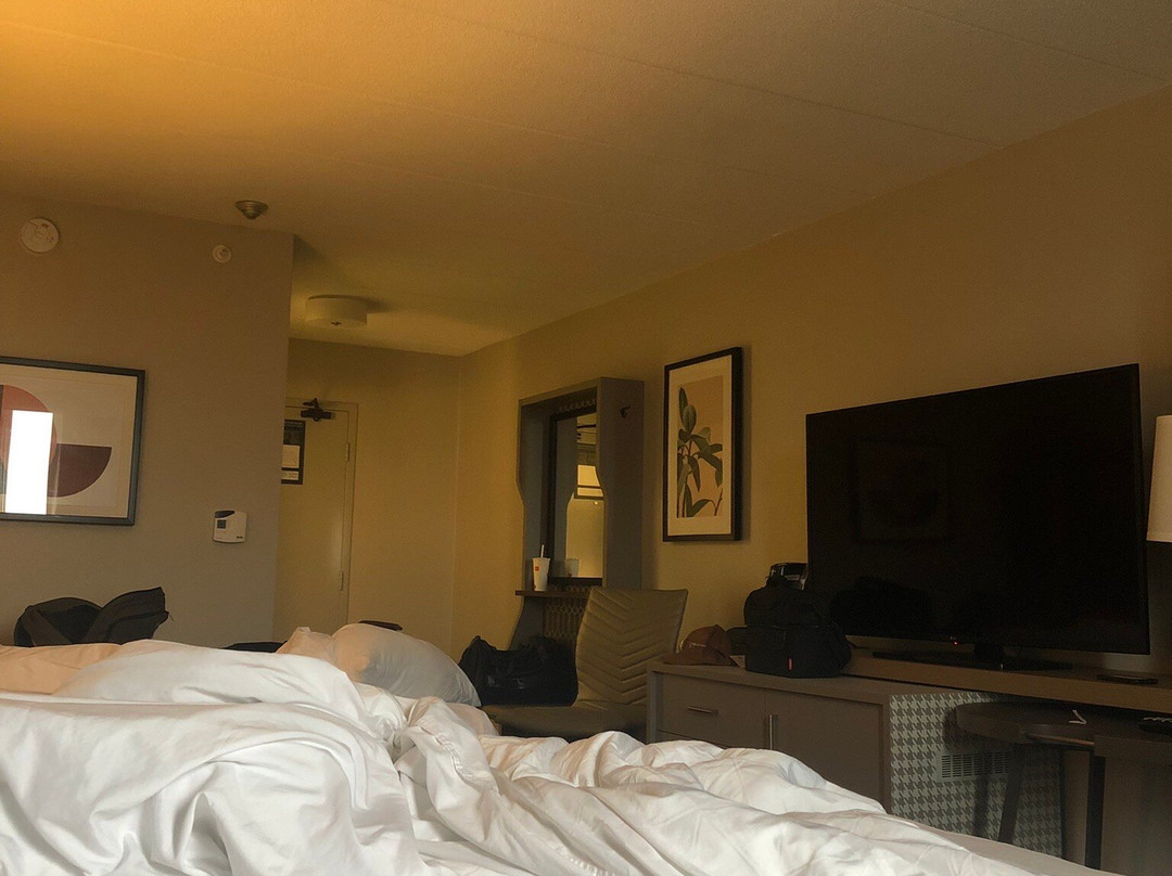 伯灵顿假日酒店及会议中心主图