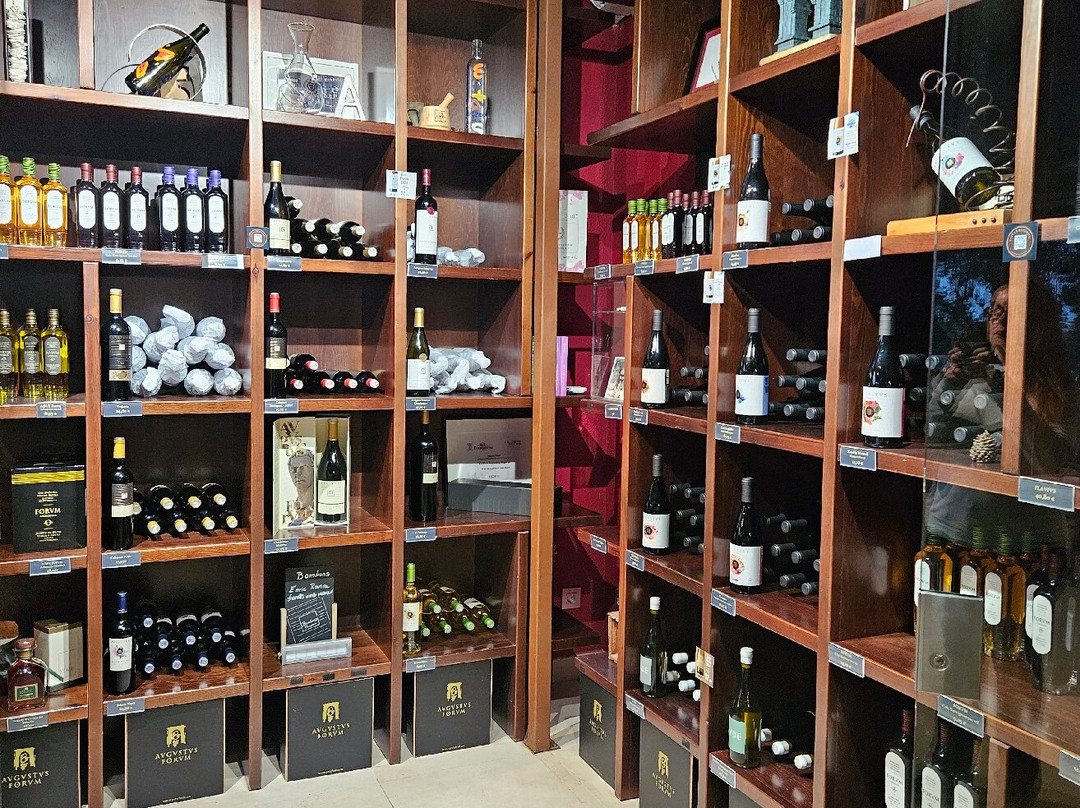 Cellers Avgvstvs Forvm-El Vendrell必去景点