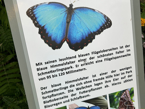 Schmetterlingspark Fehmarn-Burg auf Fehmarn必去景点