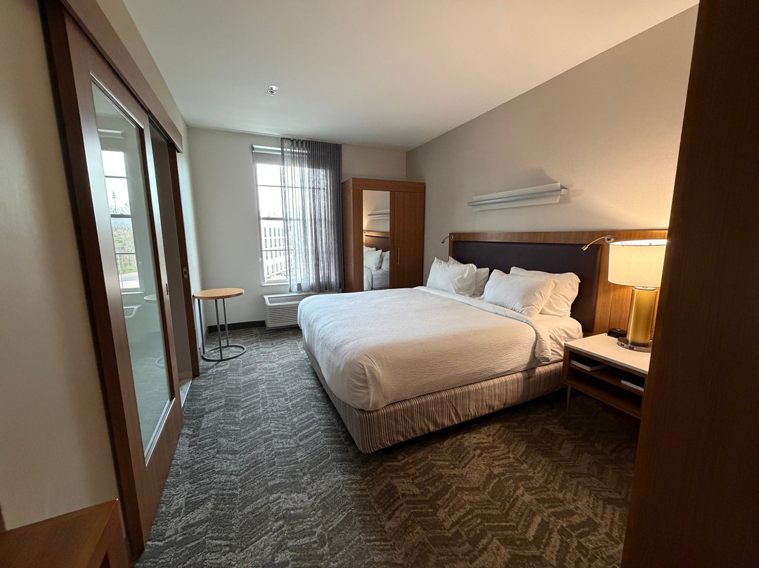 亨茨维尔西区/研究园区SpringHill Suites酒店主图