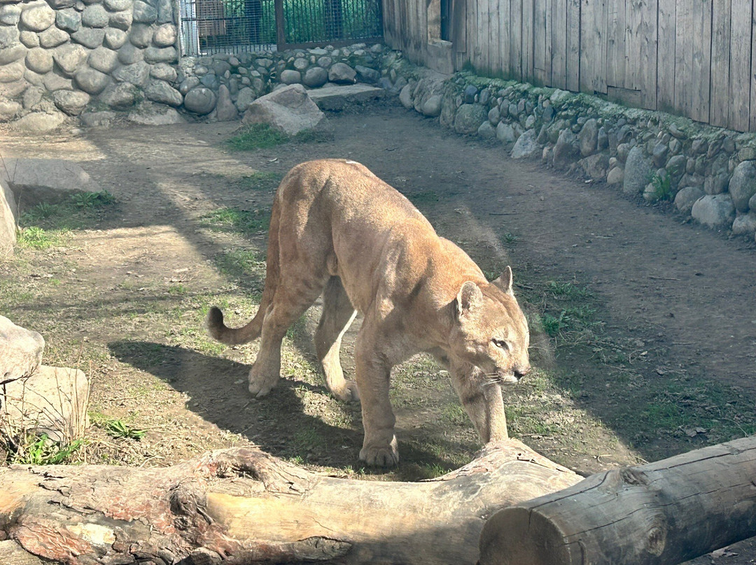 Almaty Zoo-阿拉木图必去景点