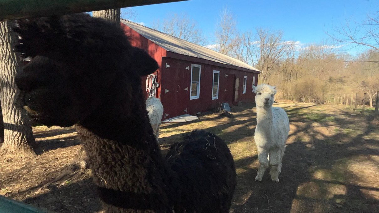 烟囱山庄园旅馆-官方