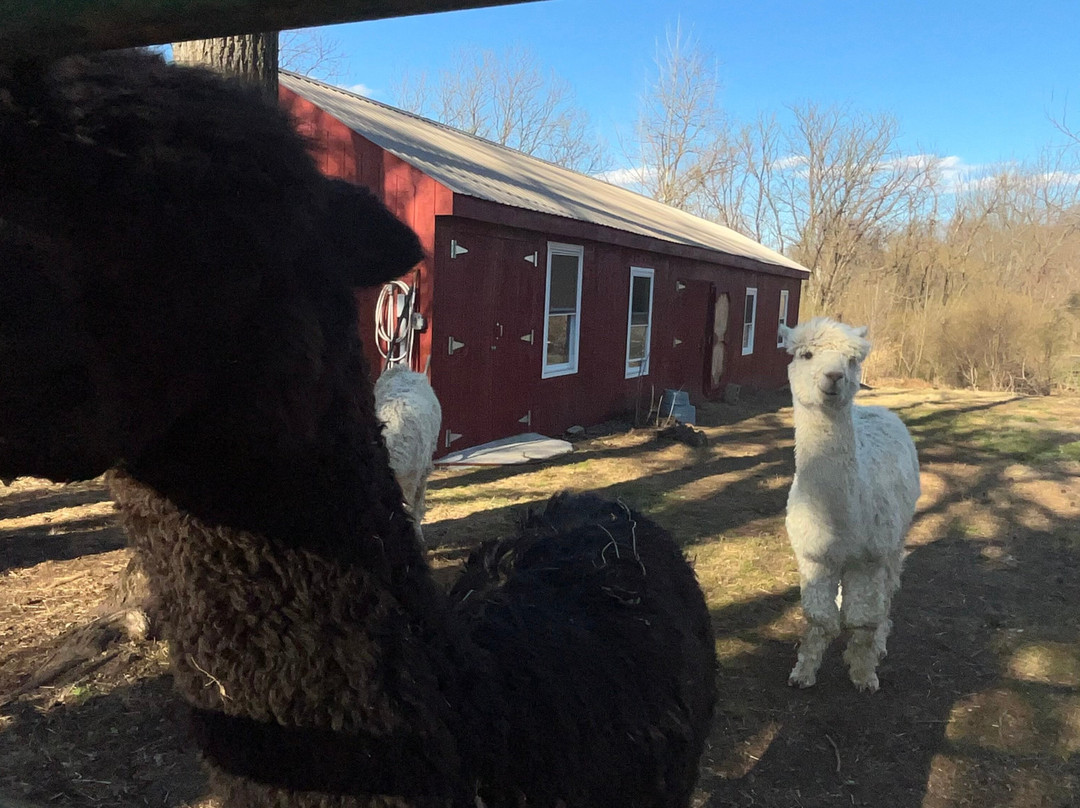 烟囱山庄园旅馆主图