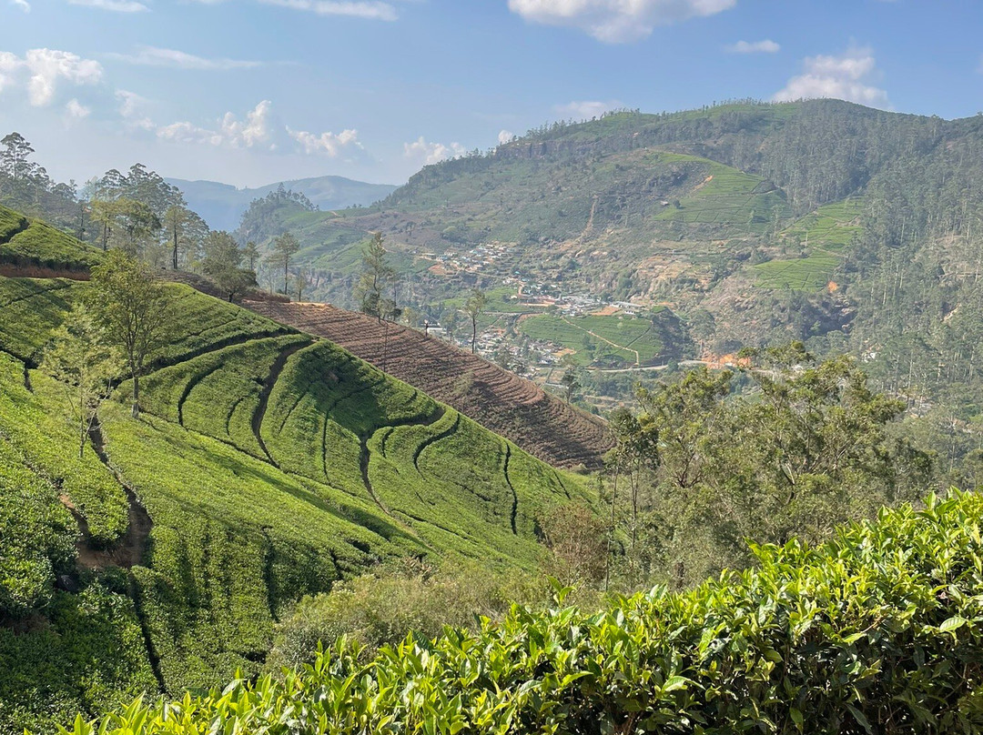 BH Lanka Tours-Kurunegala必去景点