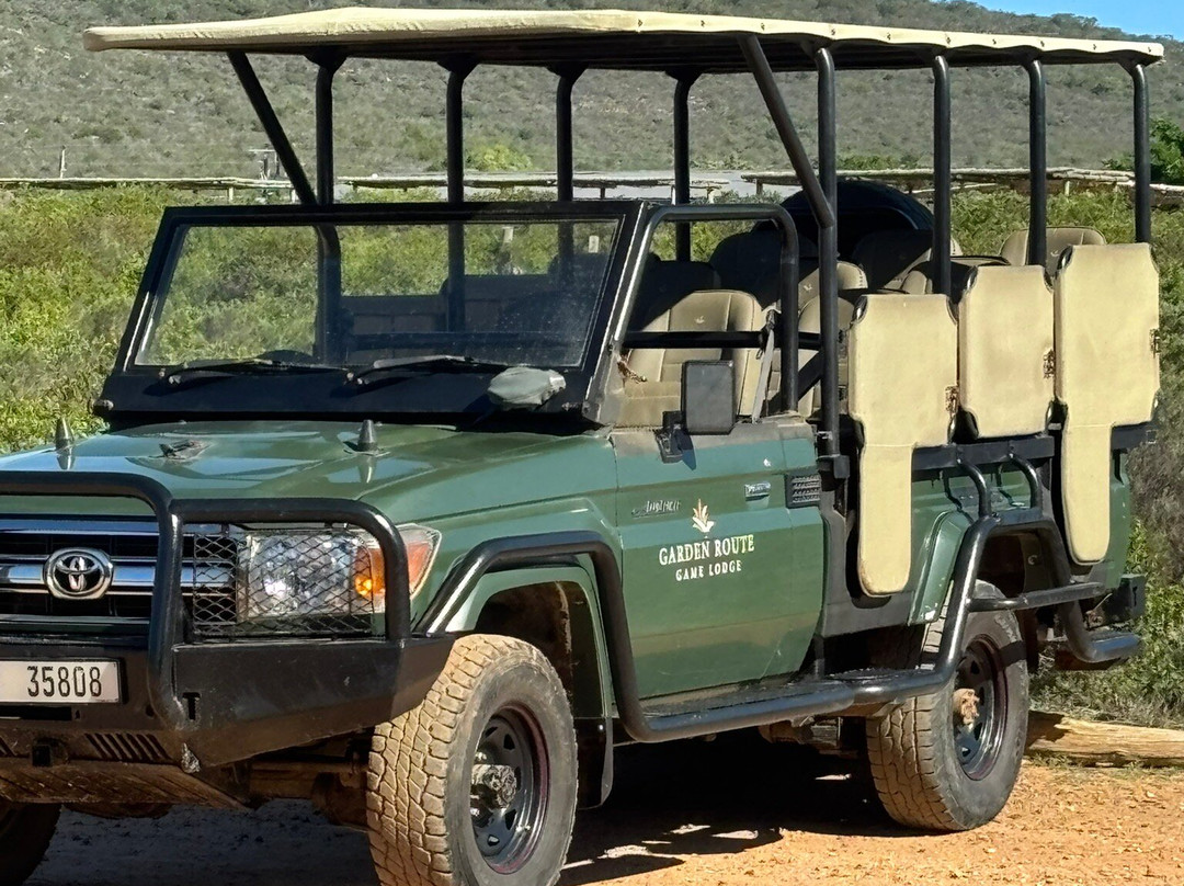 Garden Route Game Lodge Day Safaris-阿尔贝蒂娜必去景点