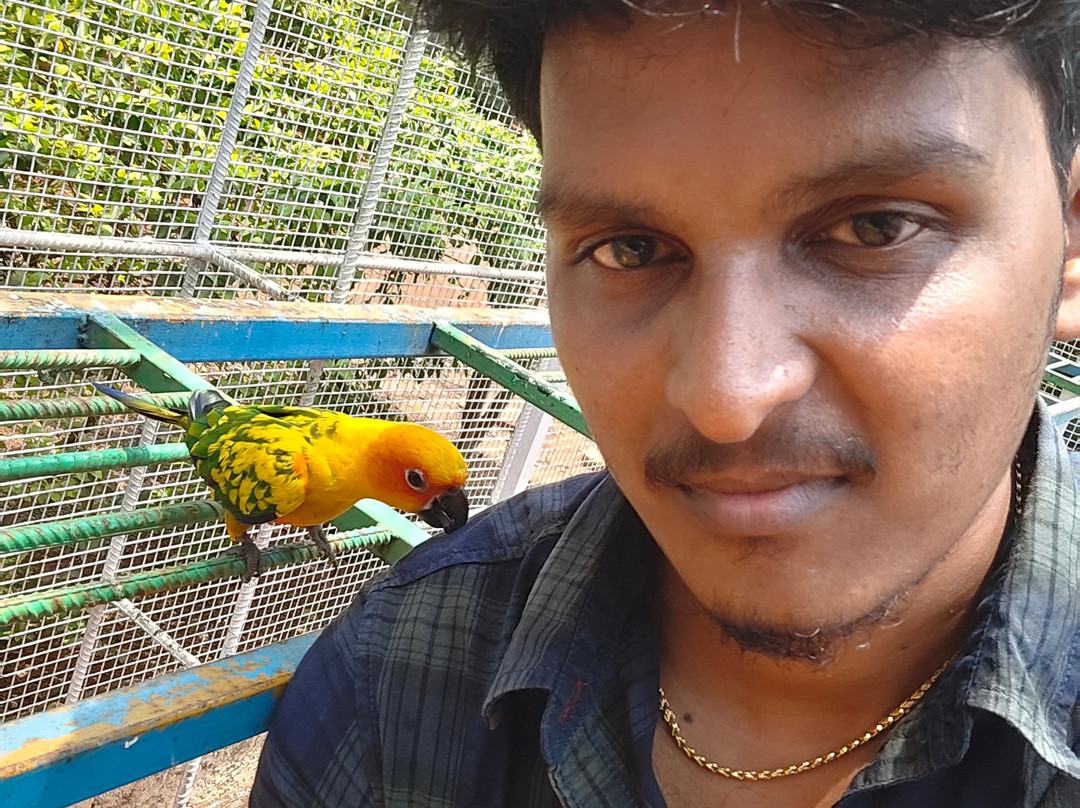 Cloud Forest Entertainment Park-Yelagiri必去景点