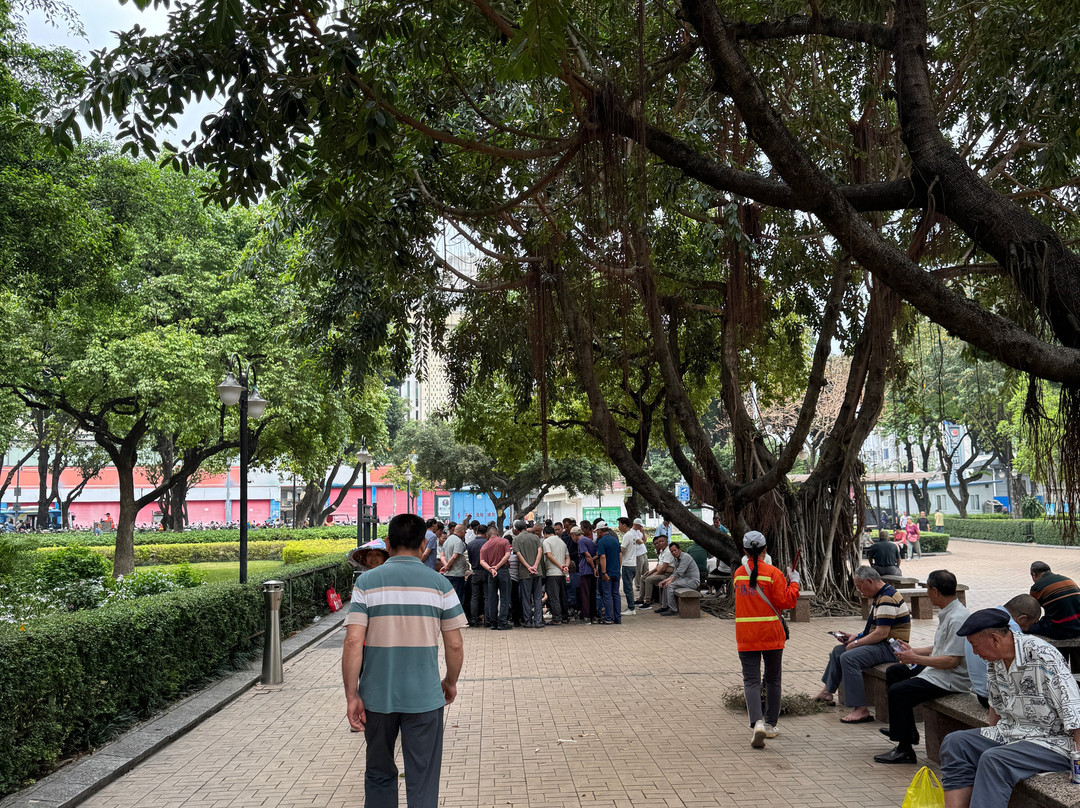朝阳广场-南宁市必去景点