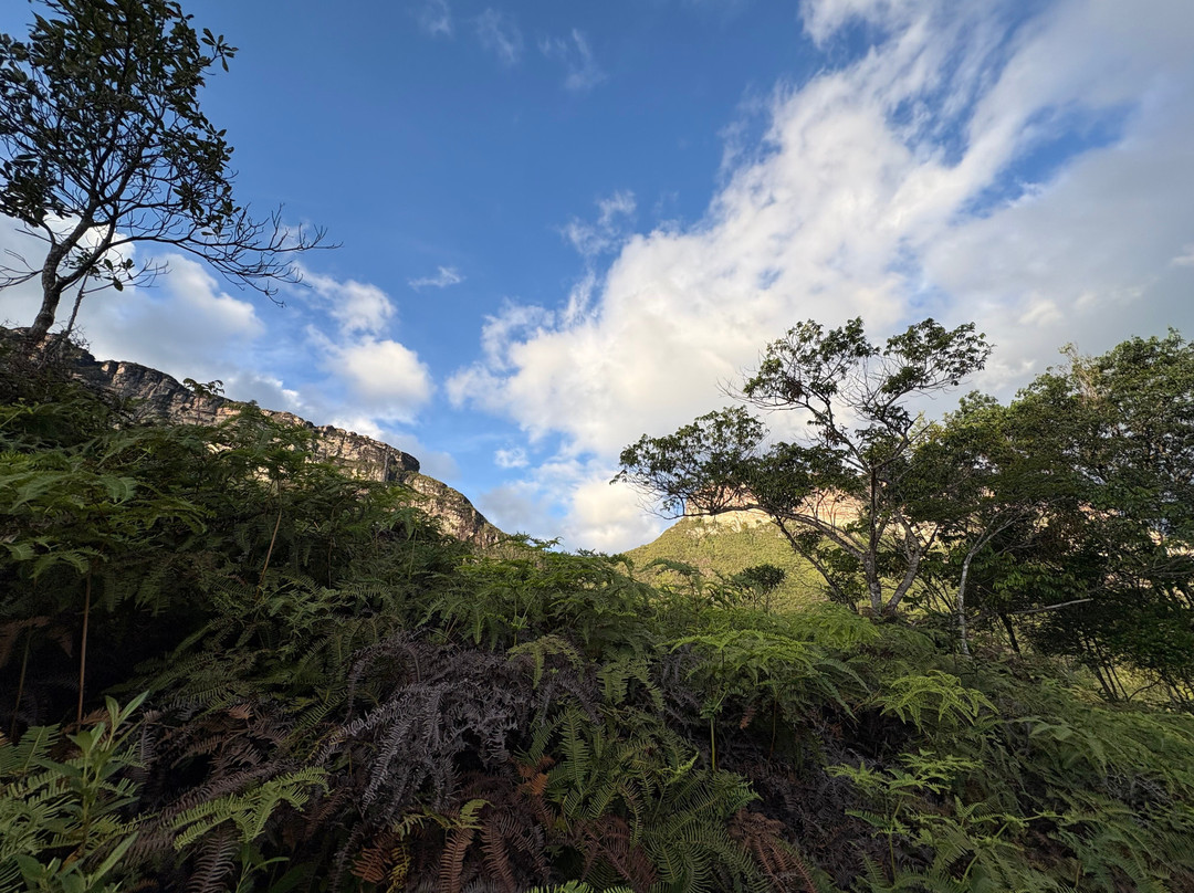 Saulo Trekking - Agencia de Turismo.-Vale do Capao必去景点