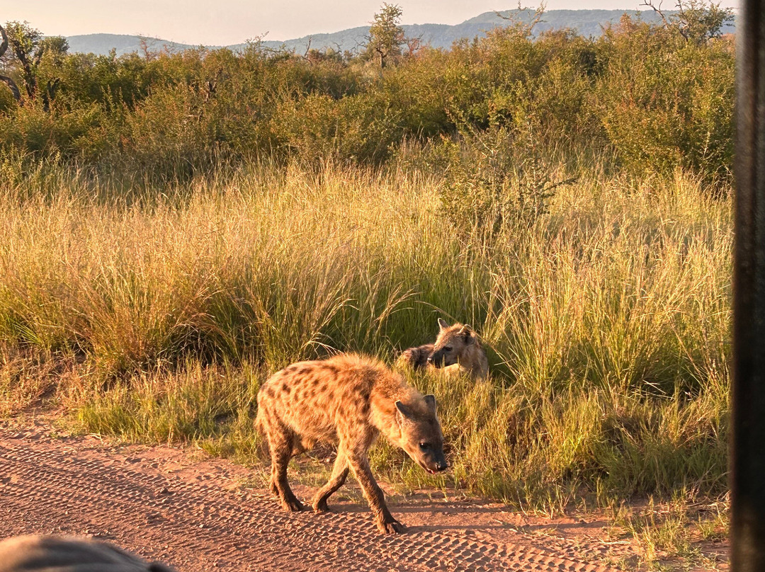 EverseenAfrica-霍德斯普鲁特必去景点