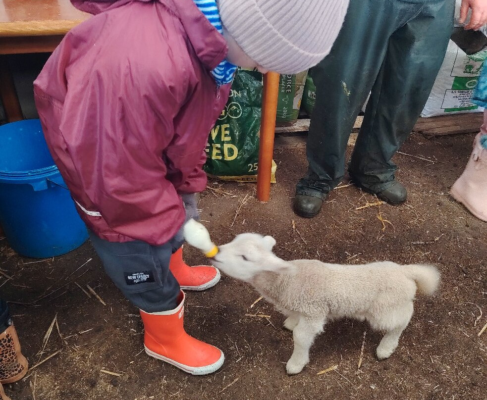 Kilmacolm Farm Tours-Cairncurran必去景点