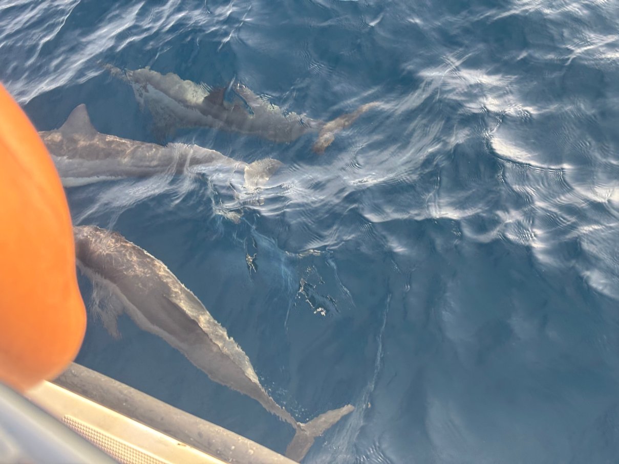 斯茹芬富士私人泻湖度假村-官方