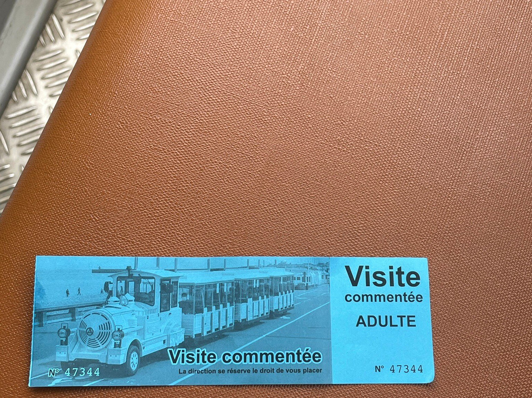 Le Petit Train Touristique de Dieppe-迪耶普必去景点