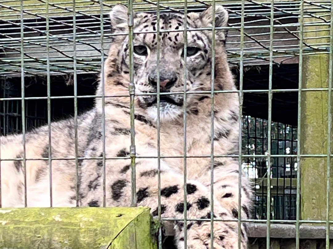 Thrigby Hall Wildlife Gardens-Filby必去景点