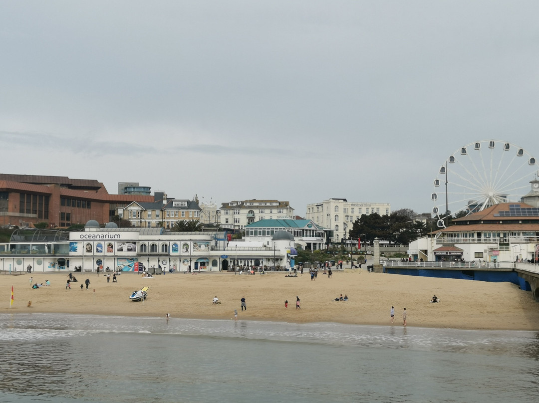 Bournemouth Pier-伯恩茅斯必去景点