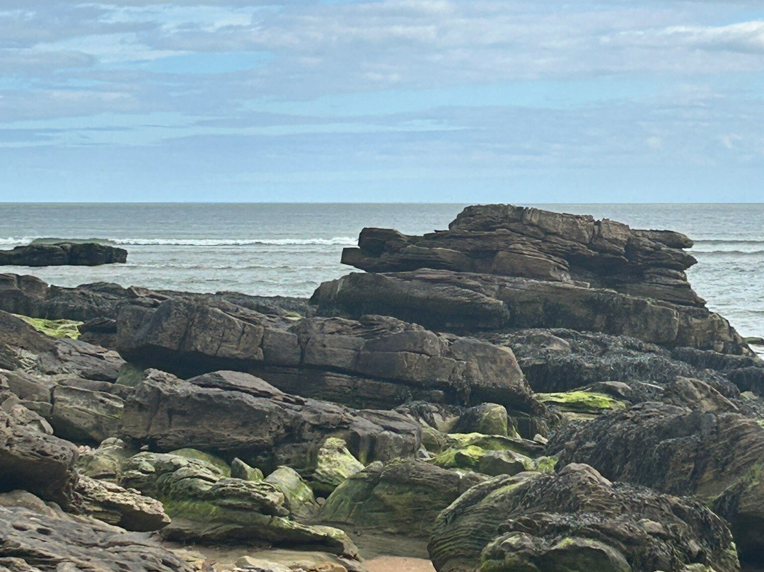 邦奇鲁之家酒店主图