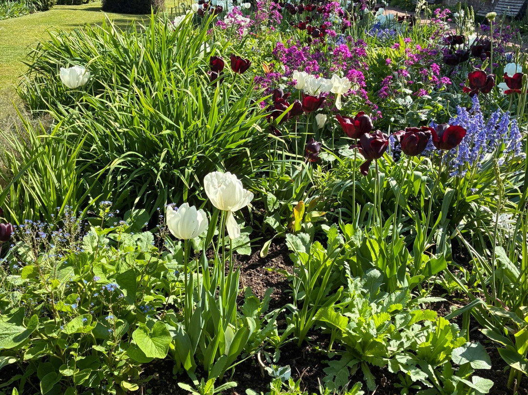 Overbecks Garden-Salcombe必去景点