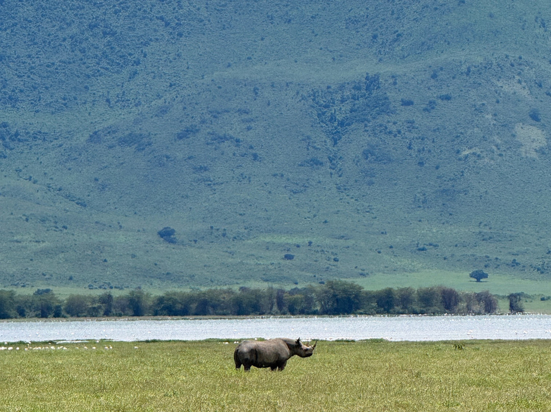 Unlimited Expeditions - The Soul Of Tanzania-阿鲁沙必去景点