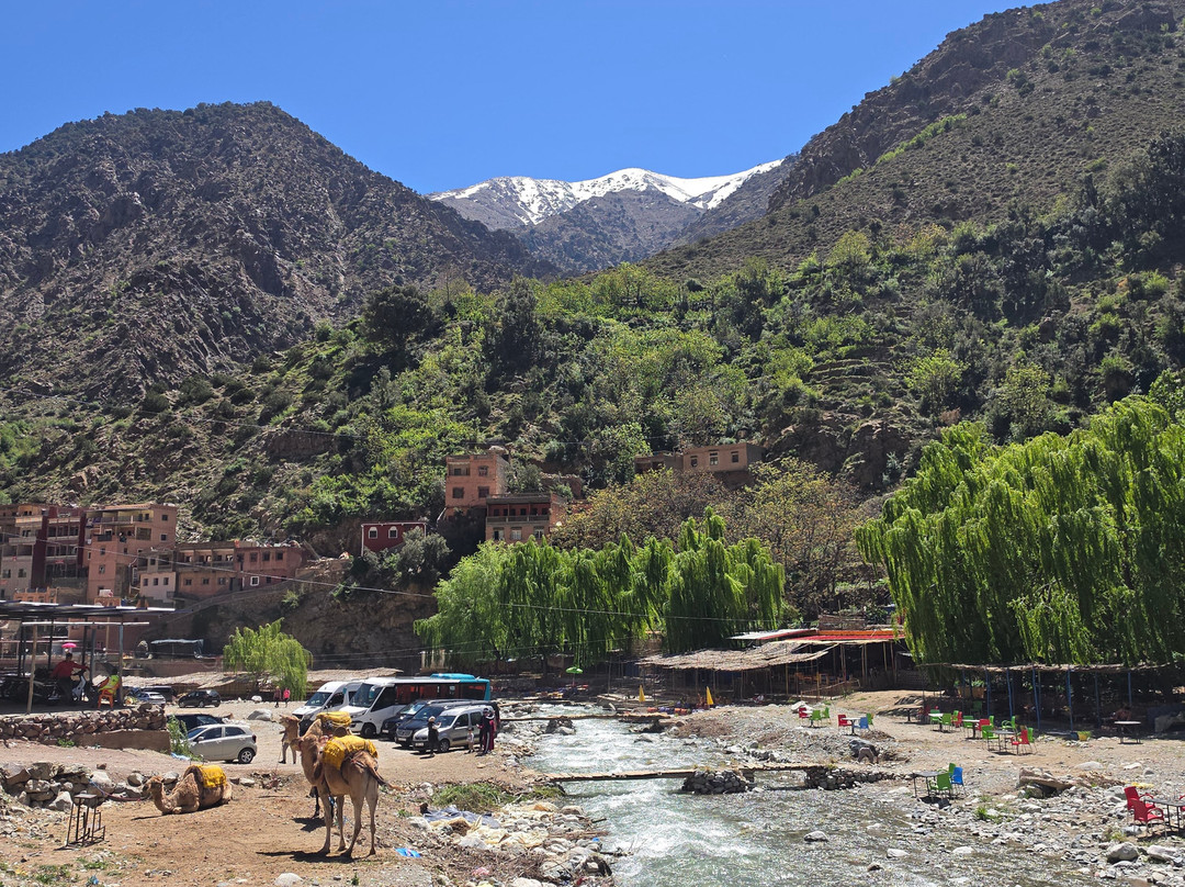 Chameau Marrakech-马拉喀什必去景点