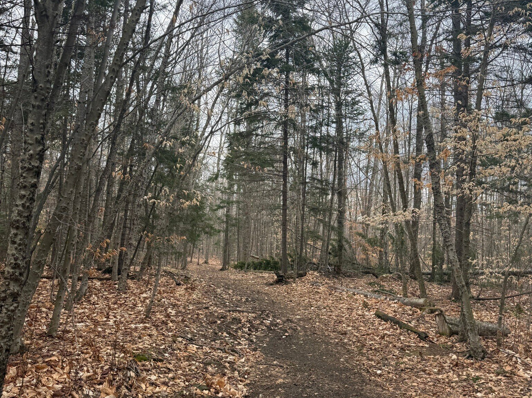 Heaven Hills Trails-普莱西德湖必去景点