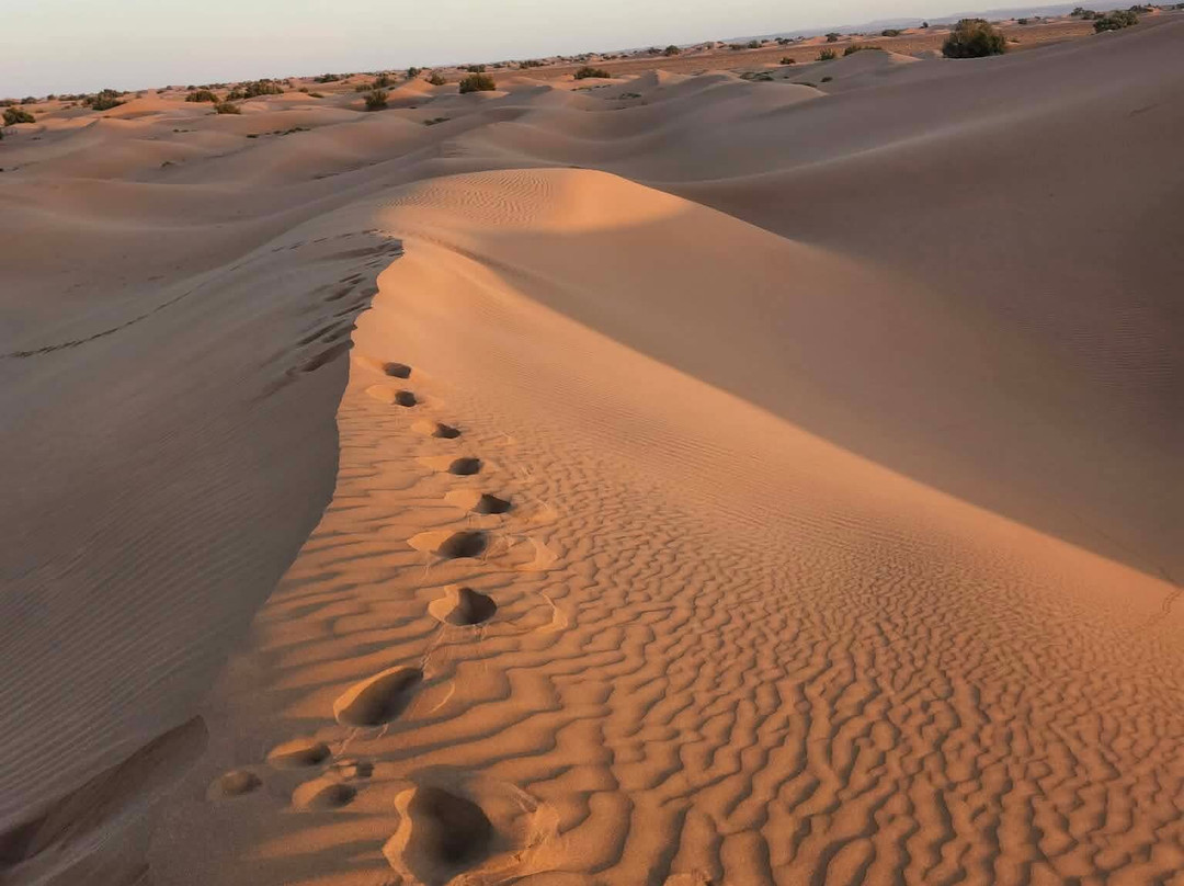 Bivouac Nour-迈哈米德必去景点