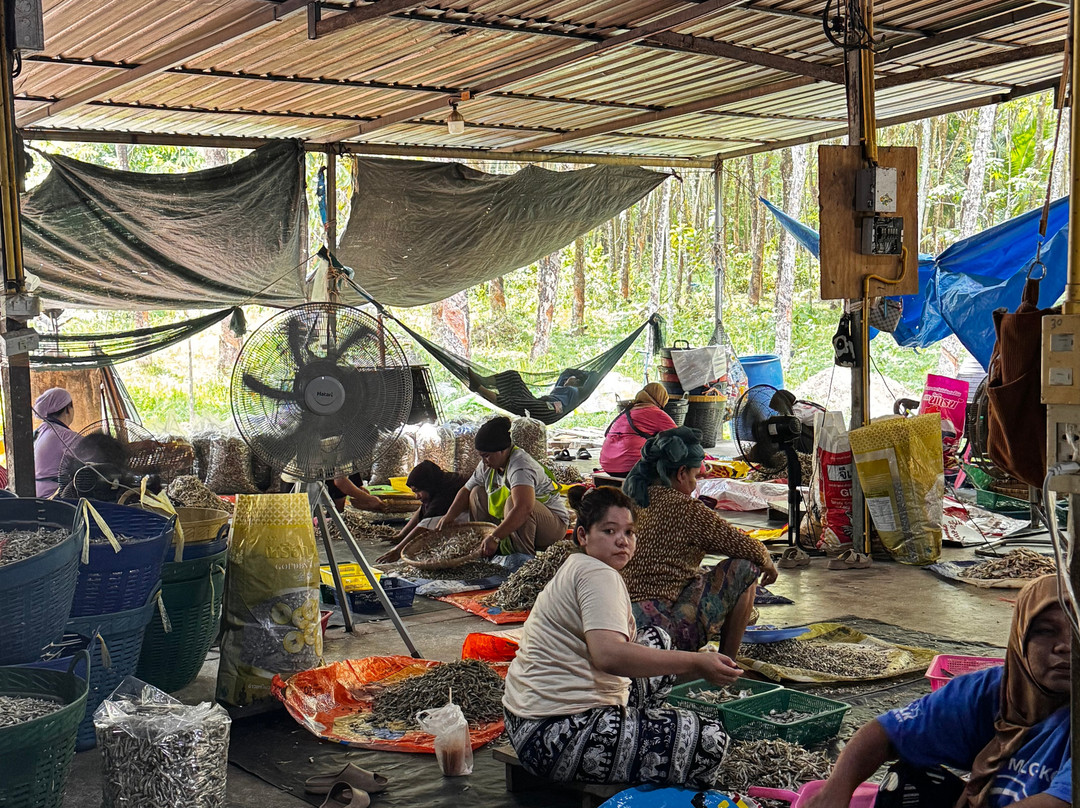 Our Magical Thailand-阁耀亚伊岛必去景点