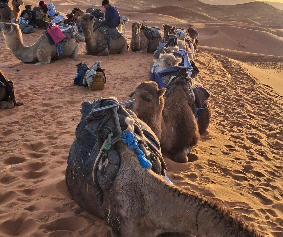 Marrakech Excursion-马拉喀什必去景点