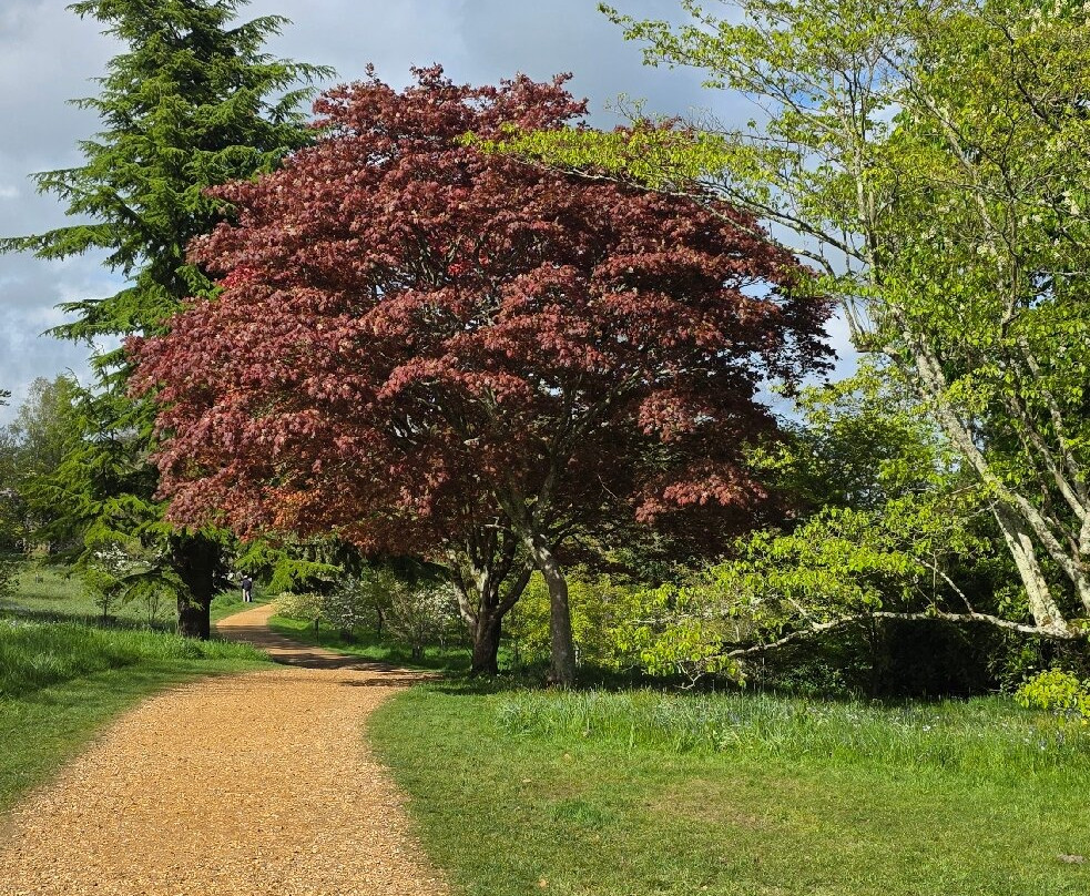 Petworth House and Park-佩特沃斯必去景点