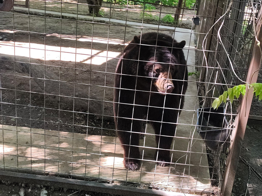 Safari Zoological Park-Caney必去景点