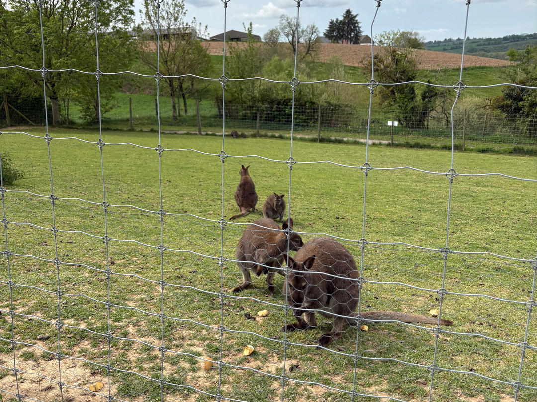 Parc Animalier de Pradinas-Pradinas必去景点