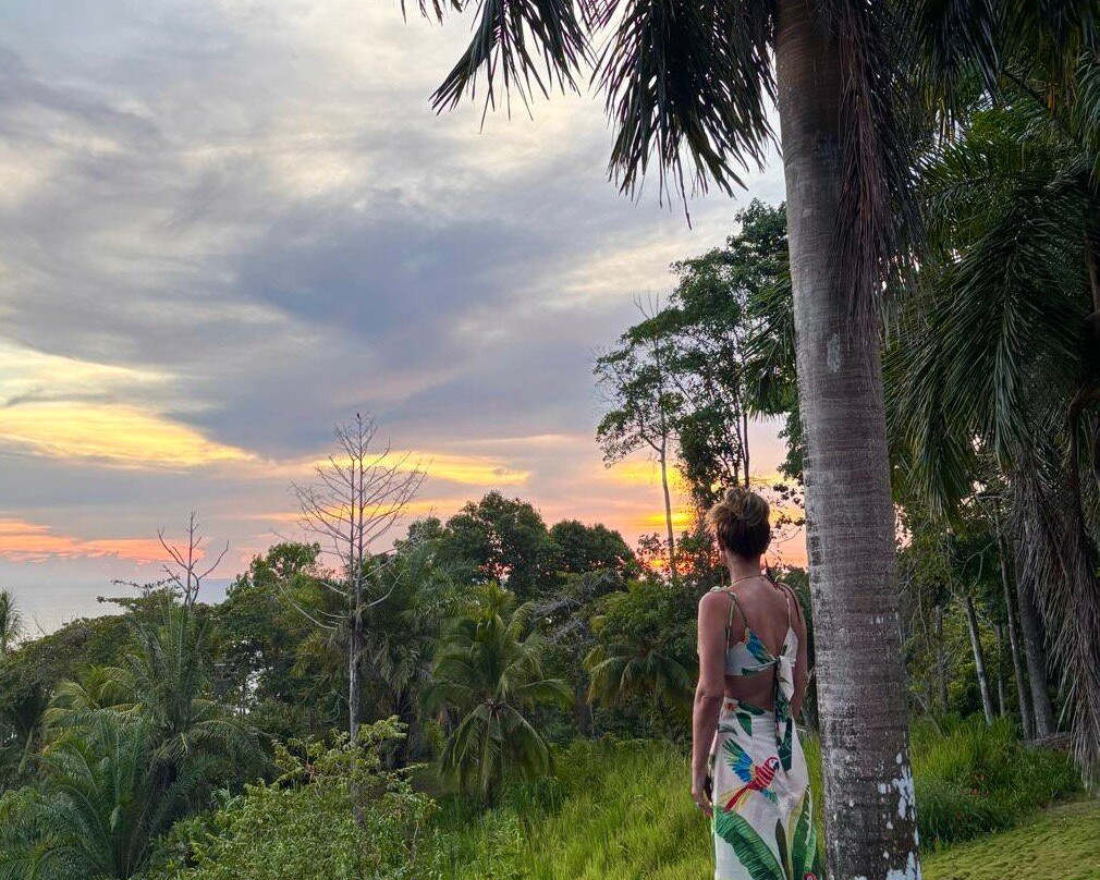 Bosque del Cabo Rain Forest Lodge主图