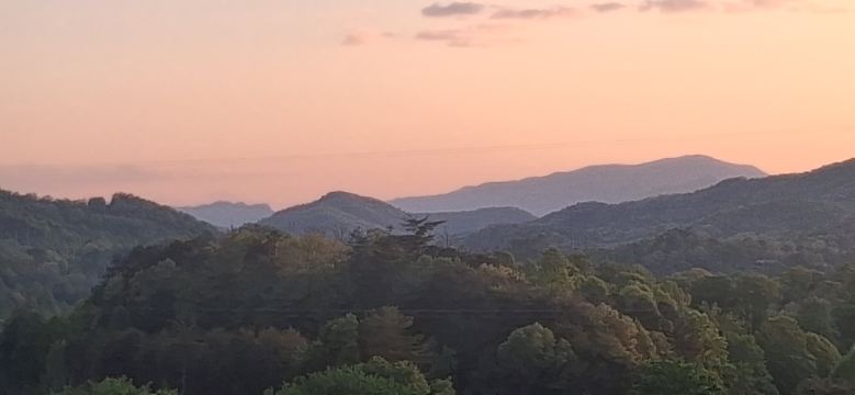 布赖森城麦客达温德姆酒店-旅行者