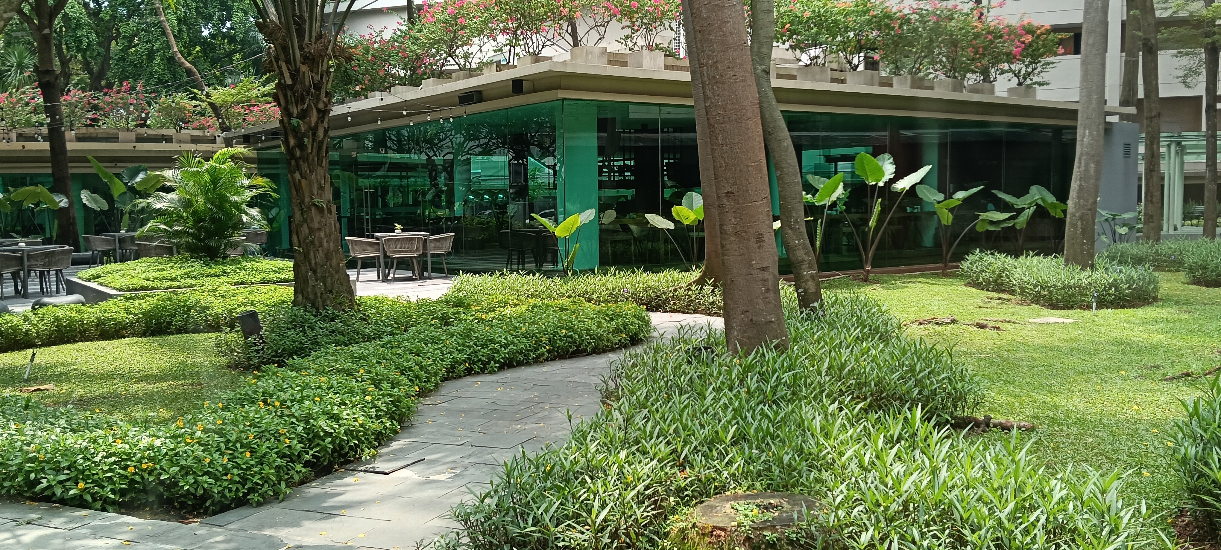 加拉璜凤凰木酒店-旅行者