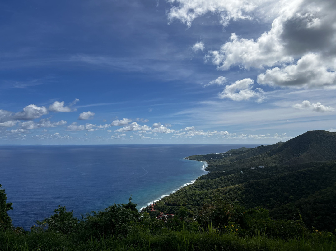 Carambola Zip Line-Frederiksted必去景点