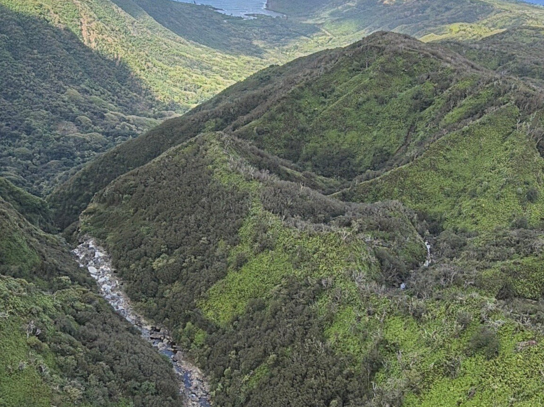 Air Maui Helicopter Tours-卡胡卢伊必去景点
