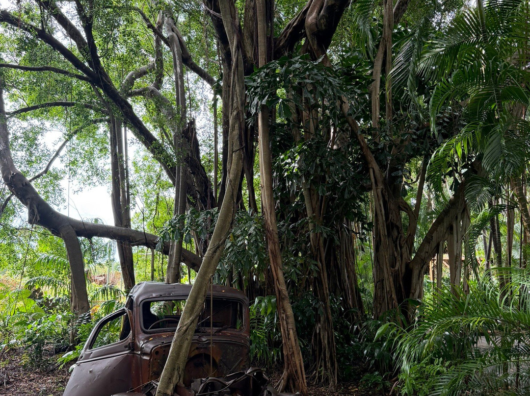 Darwin Military Museum-达尔文市必去景点