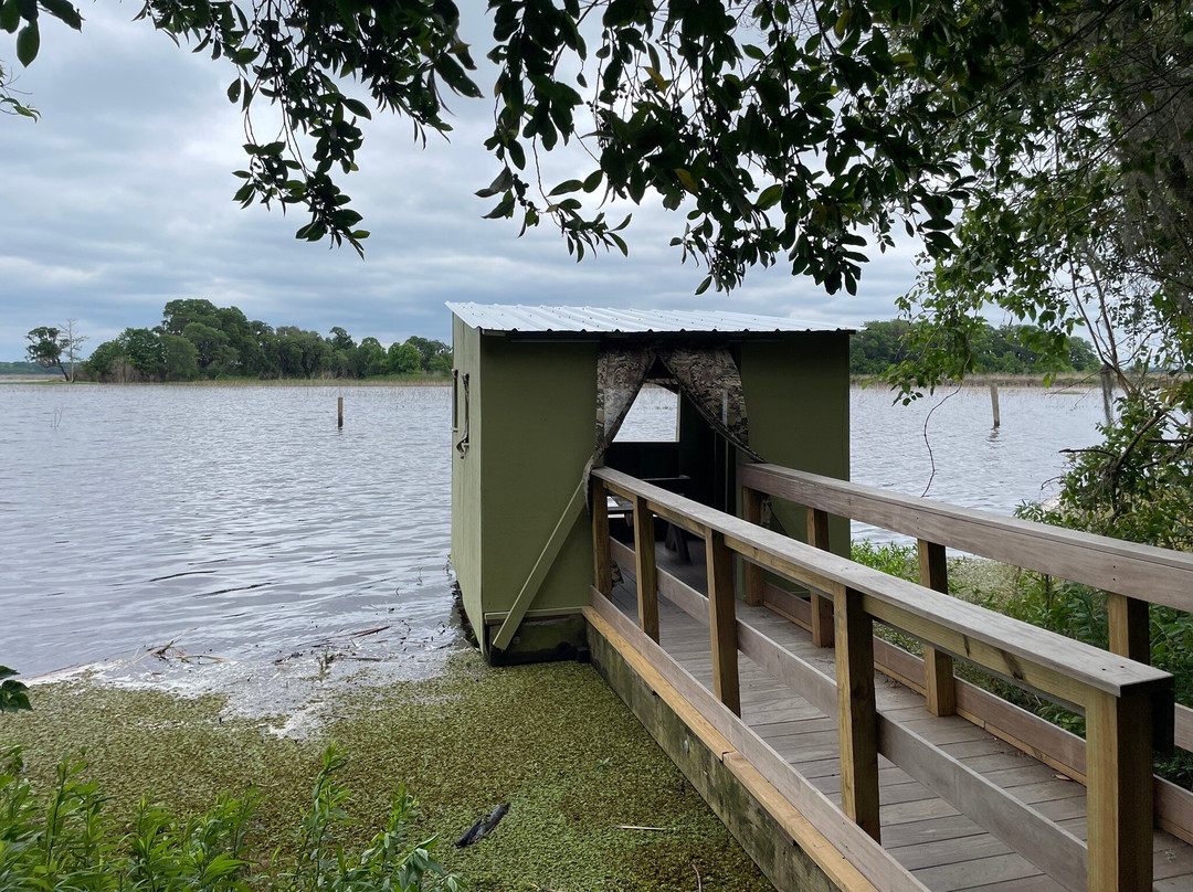 Savannah National Wildlife Refuge-Hardeeville必去景点