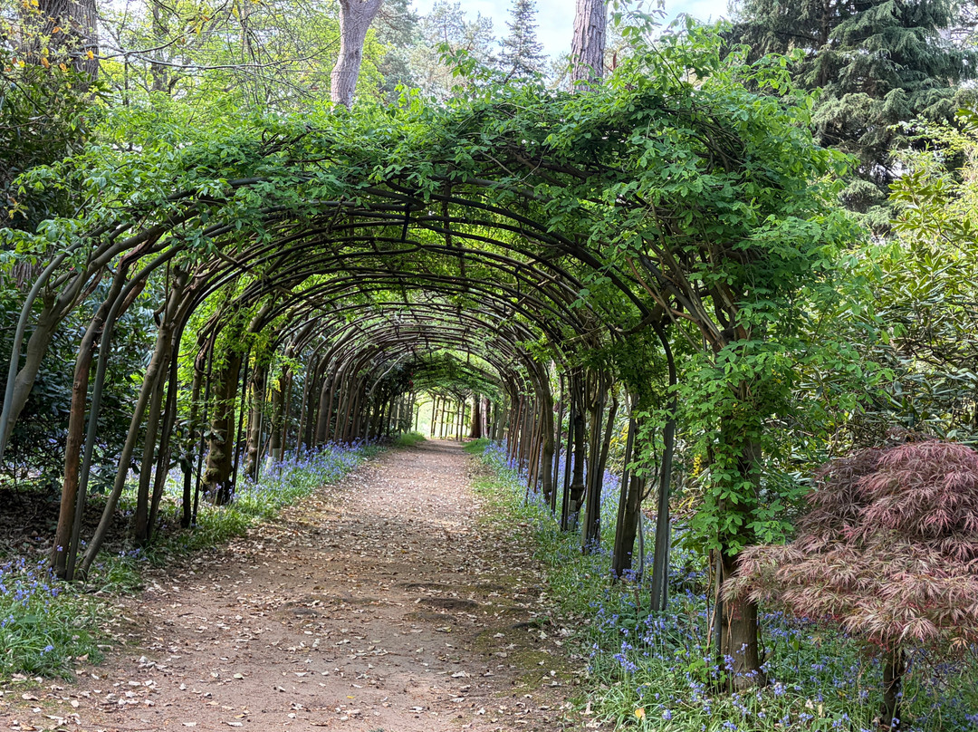 Arley Arboretum & Gardens-Upper Arley必去景点