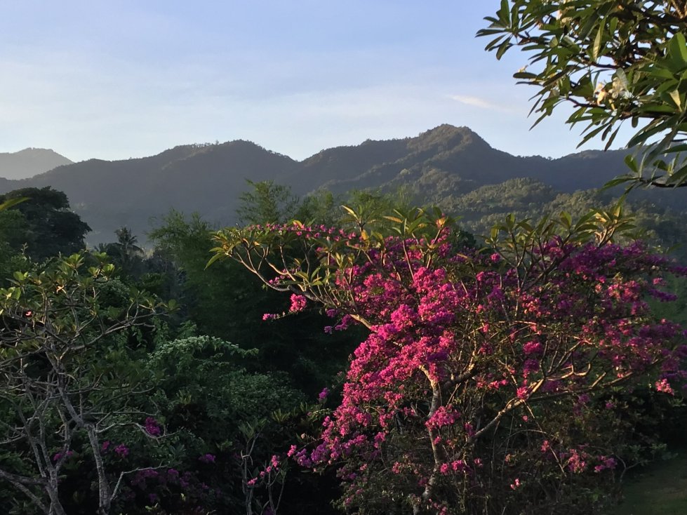 香缇天然全景酒店-旅行者