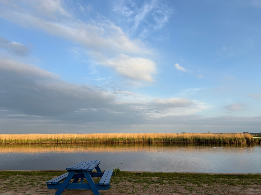 Reedham Ferry Touring Park-诺威奇必去景点