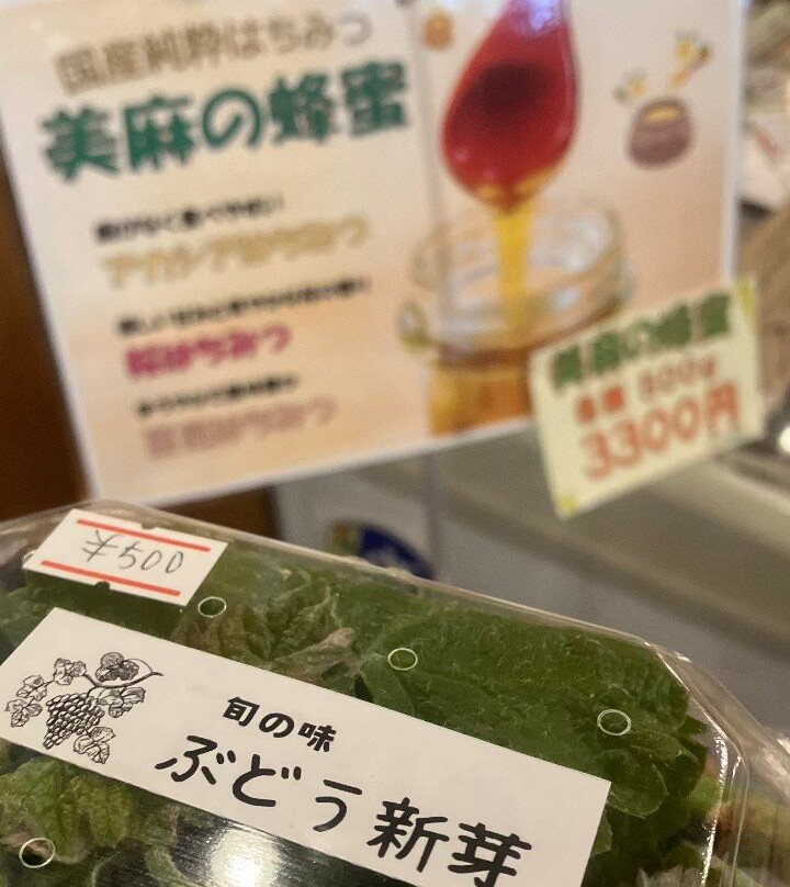 Michi-no-Eki Pokapoka Land Miasa-大町市必去景点