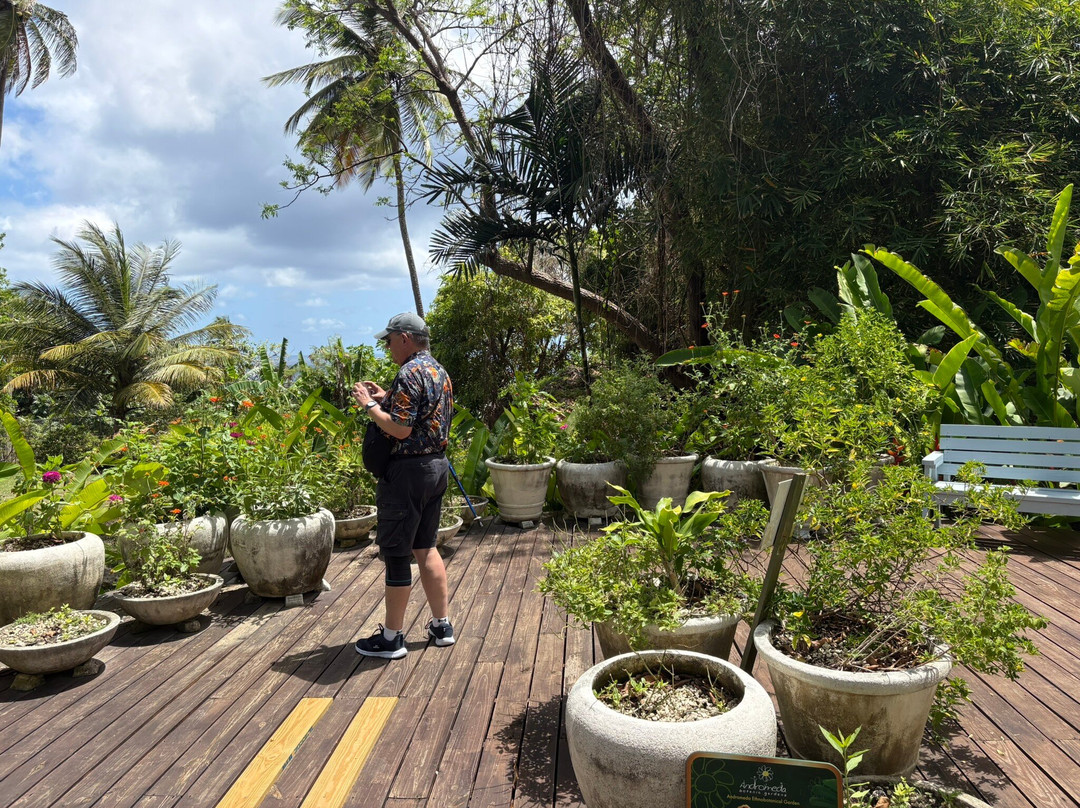 Andromeda Botanic Gardens-Bathsheba必去景点