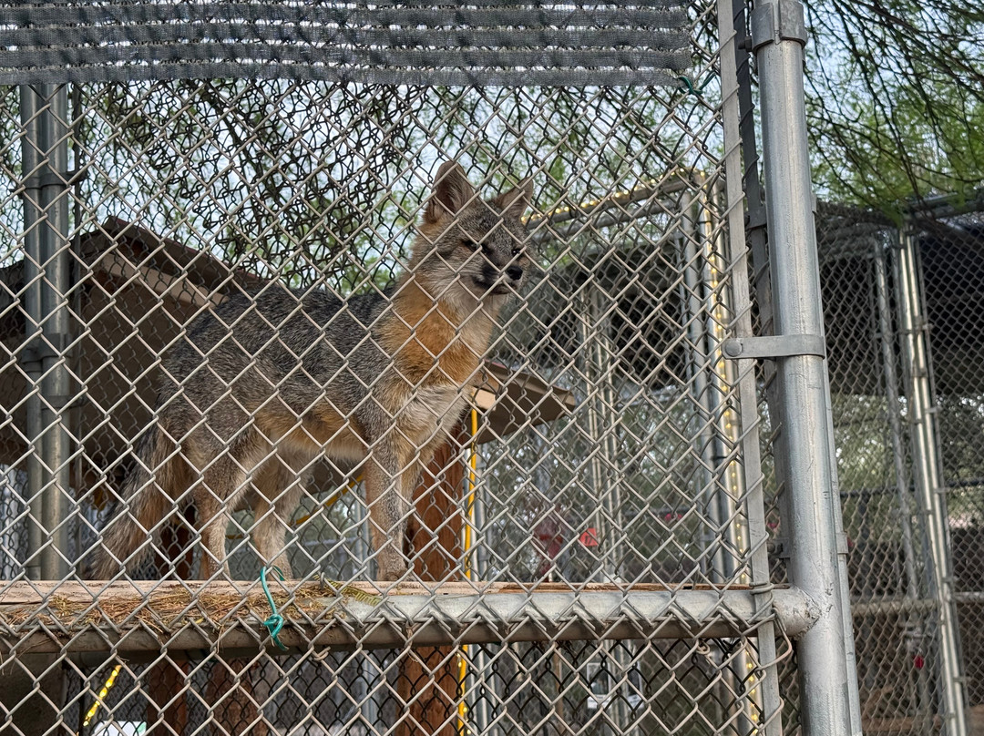 Southwest Wildlife Conservation Center-斯科茨代尔必去景点