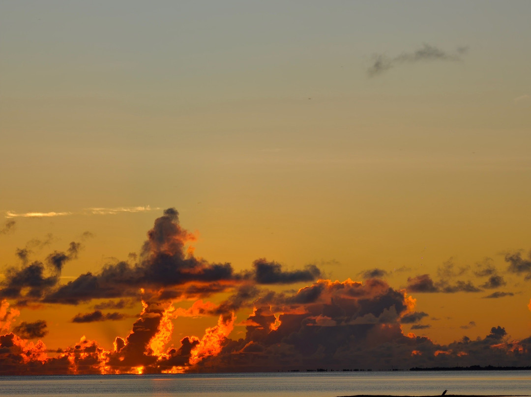 Addu Scuba Club-Hithadhoo Island必去景点