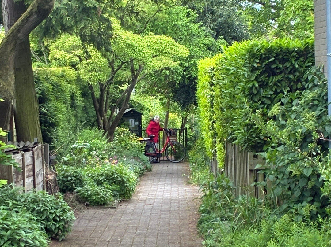 Botanische Tuin Dr. Costerus-Hilversum必去景点