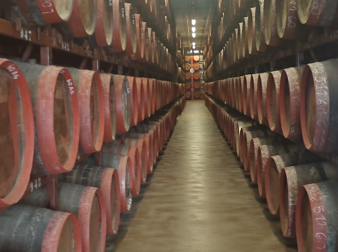 大加那利天堂酒店 - 全包式主图