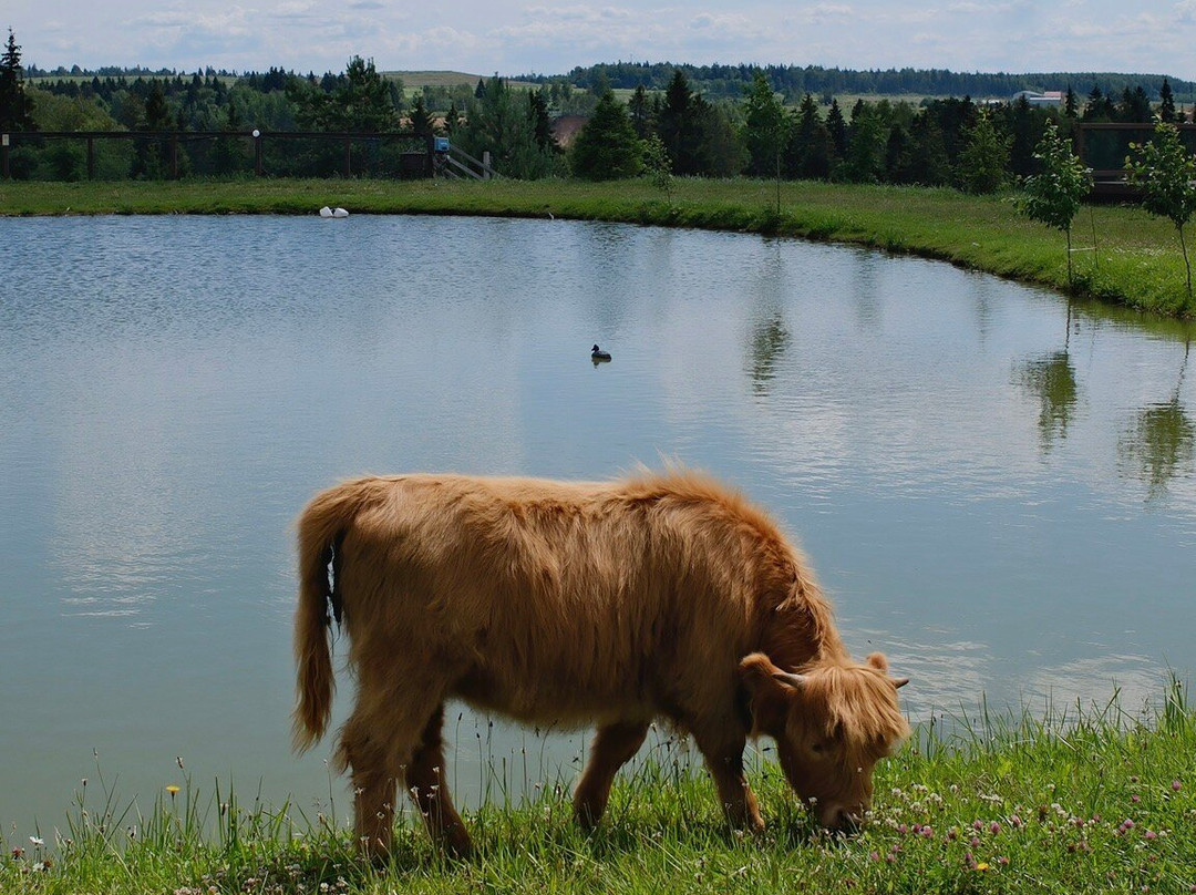Russian Alpaca Farm-Pokhodkino必去景点