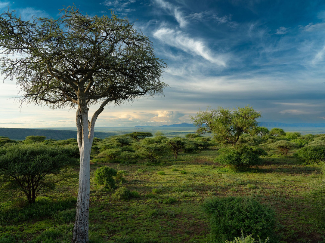 Ngorongoro Crater Camp, An A&k Sanctuary