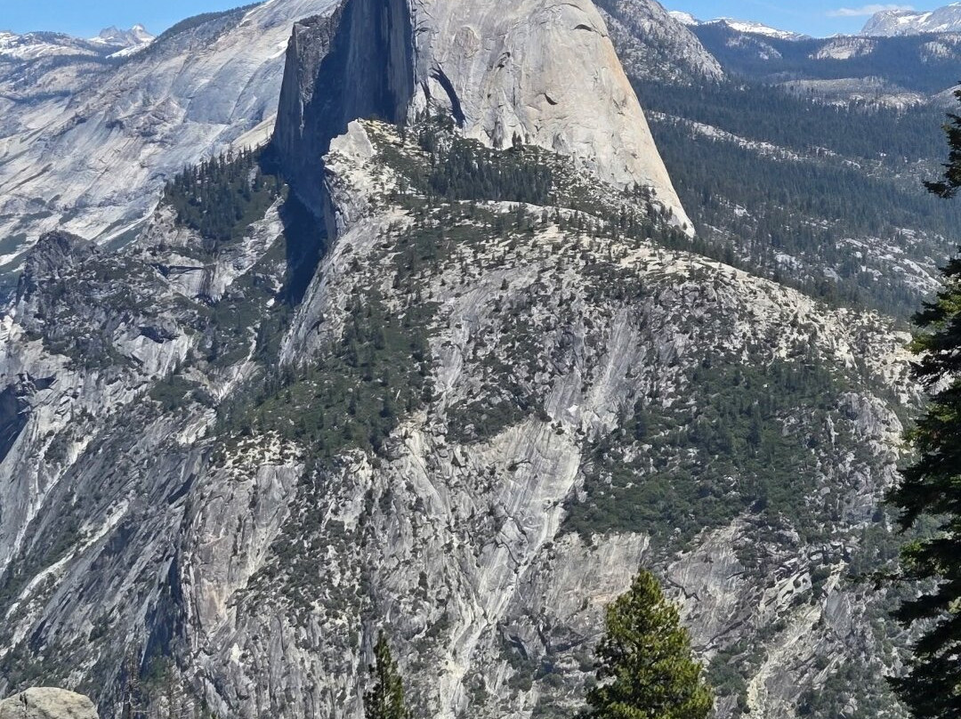 Yosemite Guide Service-格罗夫兰必去景点