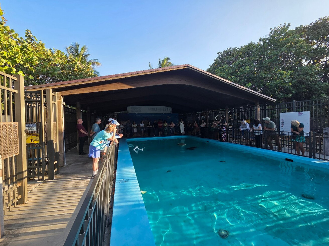 Marine Environmental Education Center-好莱坞必去景点