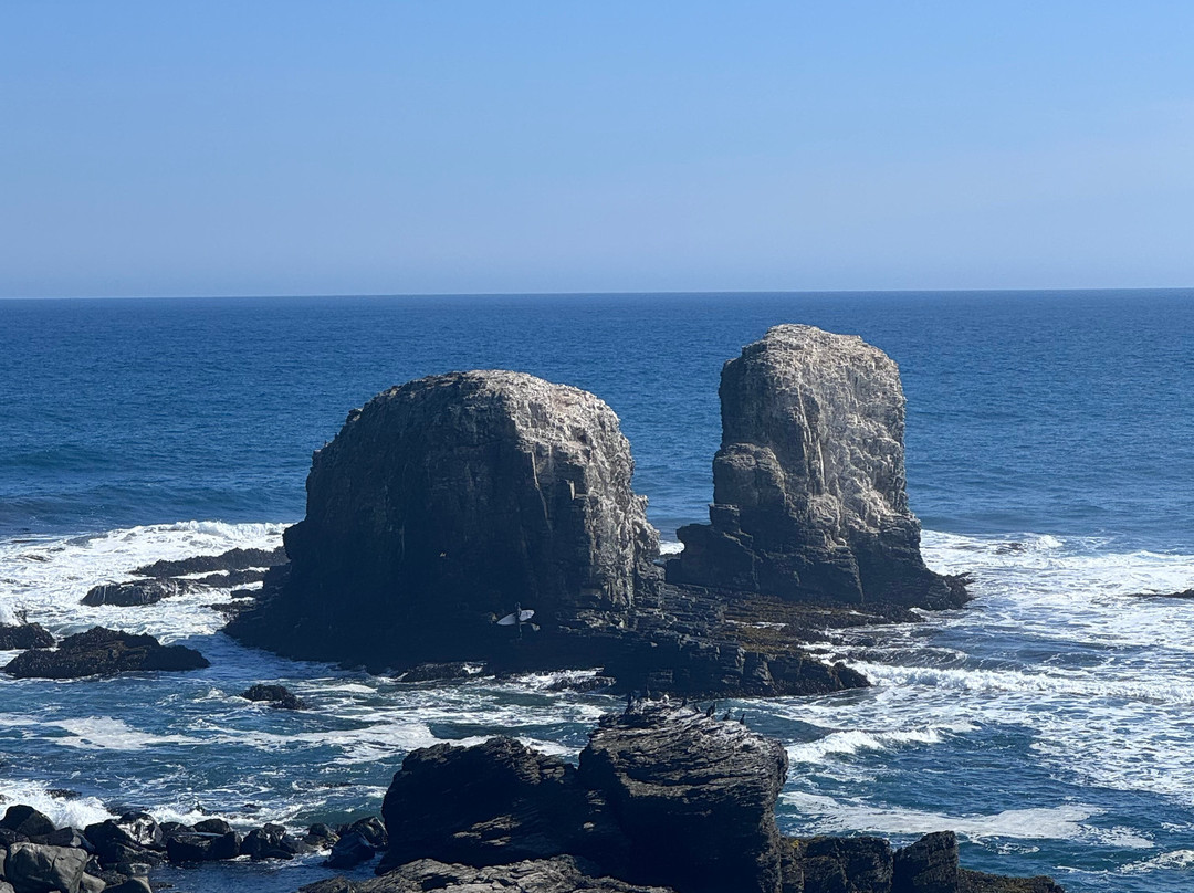 Punta De Lobos-皮钦勒姆必去景点
